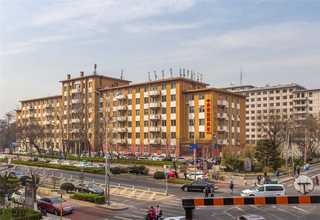 台州云杉木方厂家供应