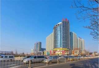 浦东新区链条提升输送机哪里买