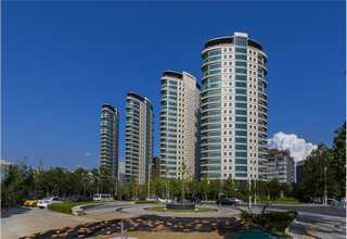 临沂智能数字化营销解决方案